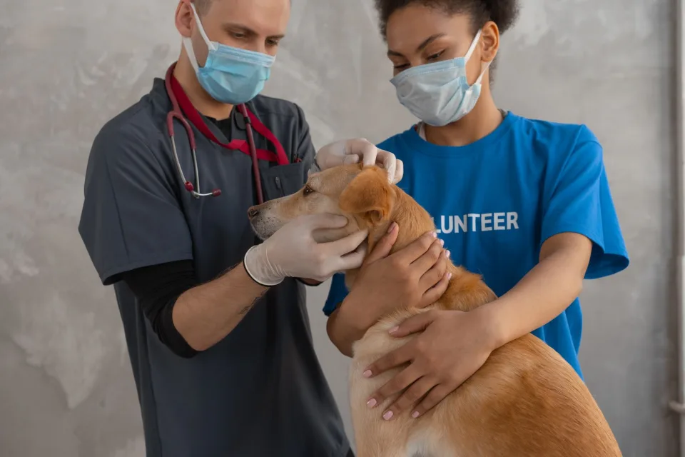 Hình ảnh tại Văn Hữu Tỵ 6